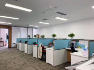 大冲全新精装房源356平出租 