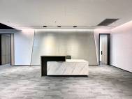 坂田甲级楼园区、精装348平、4+1格局