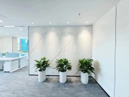 科技园看高尔夫球场206平 精装修