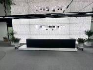 雅宝地铁口星河双子塔1563平视野好