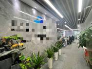 红山地铁站245平5+1格局出租