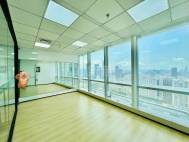 中洲西南向海景房450平 双面采光 看海
