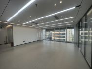 福田中心区 中国凤凰大厦200平3+1