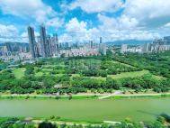 水湾1979 293平 4+1 西南朝向