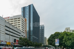 南园枫叶大厦