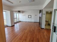 瑞思中心开间+1卫