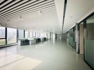 深南首排 开发商直租