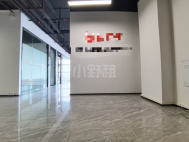 白石龙甲级楼、精装258平、2+1格局