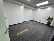 劲松大厦446平精装6＋1