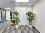 精装修，采光通透，无遮挡，超高实用率！