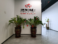 白石龙甲级楼、精装98平、1+1格局