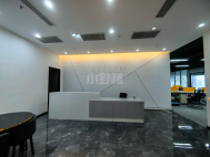 杨美地铁站精装修381平4+1格局